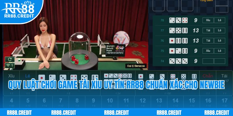 Quy luật chơi game tài xỉu uy tín RR88 chuẩn xác cho newbie 